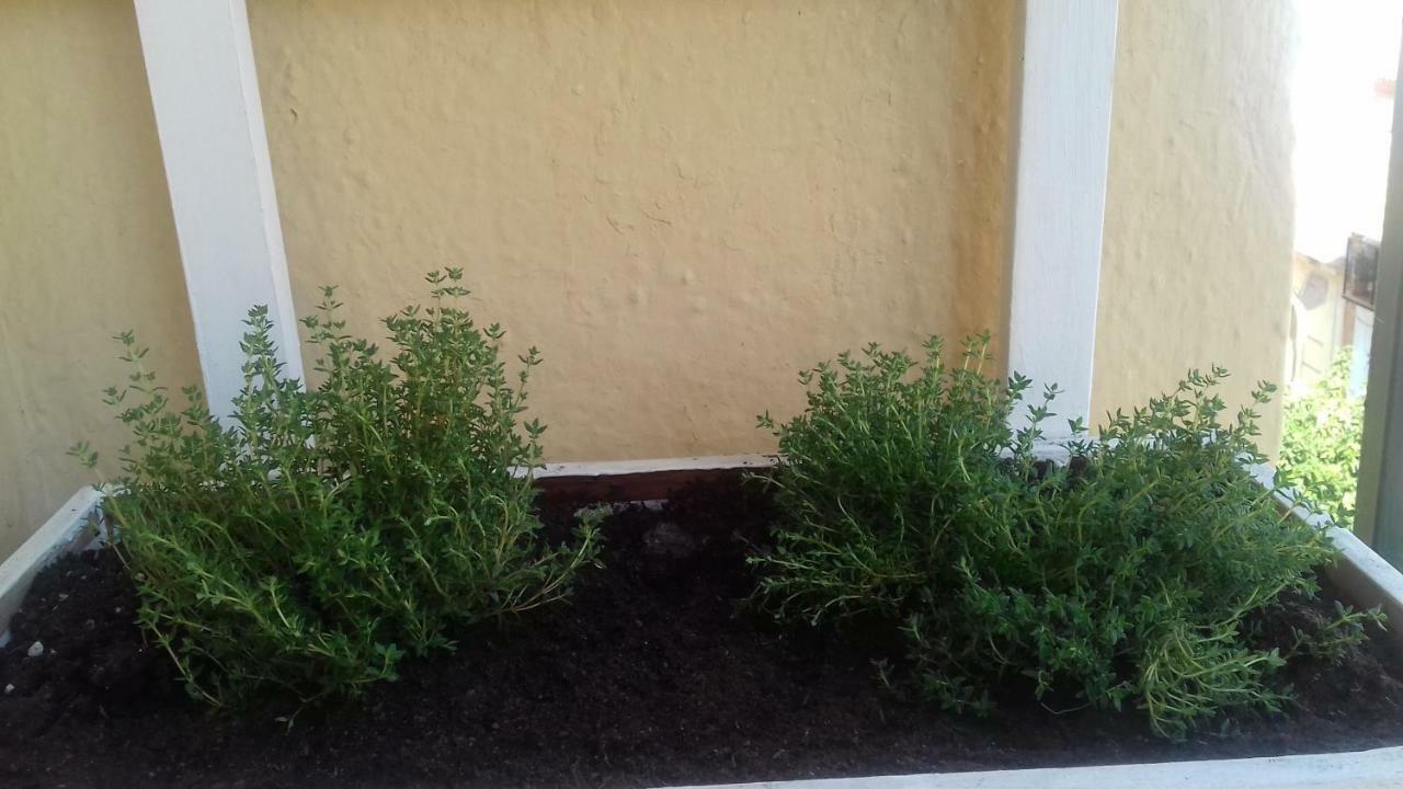 Apartament Piso En Cordoba Emili'S House Zewnętrze zdjęcie